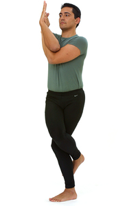 /Roberto-Nogueira-Garudasana