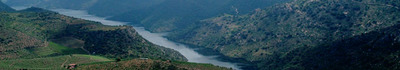 El Valle del Duero El Valle del Duero